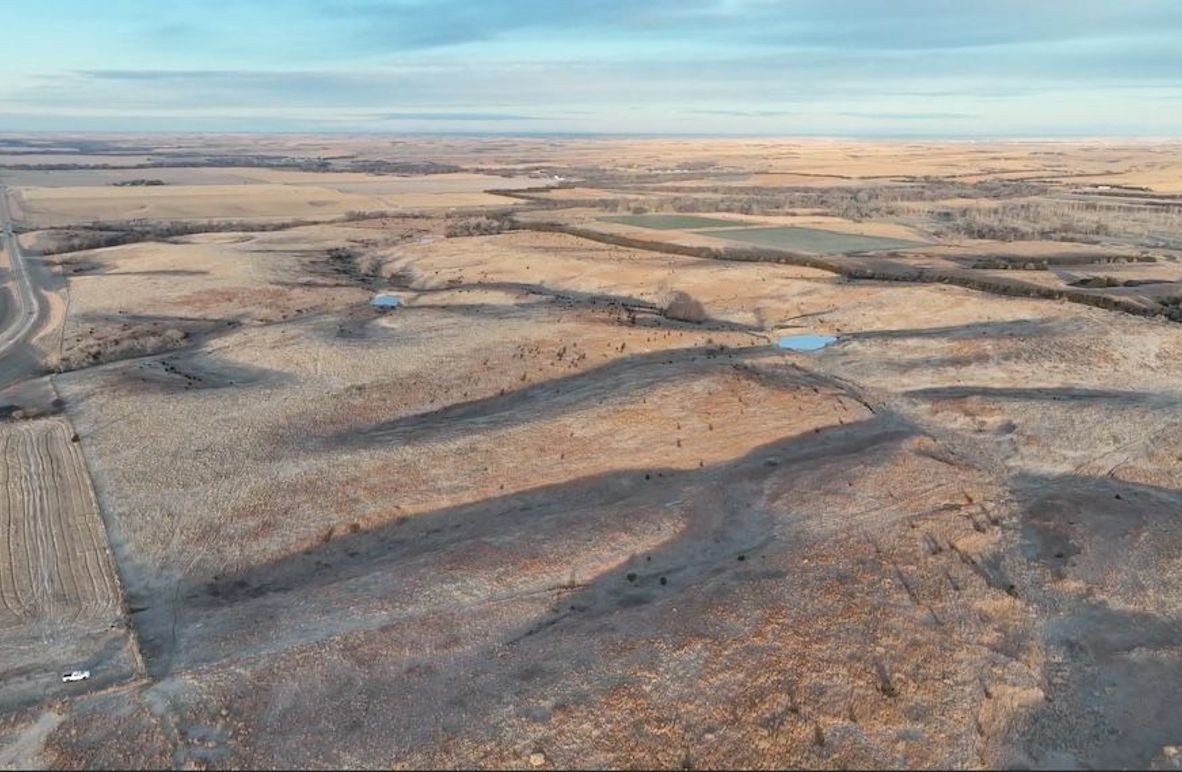 Screen Shot 2024-12-19 at 2.29.18 PM