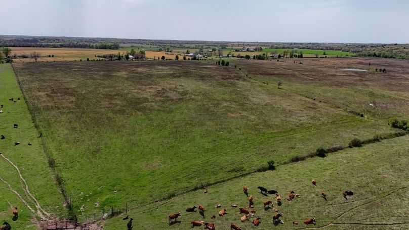 DJI_20250403151156_0010_D-DLHG
