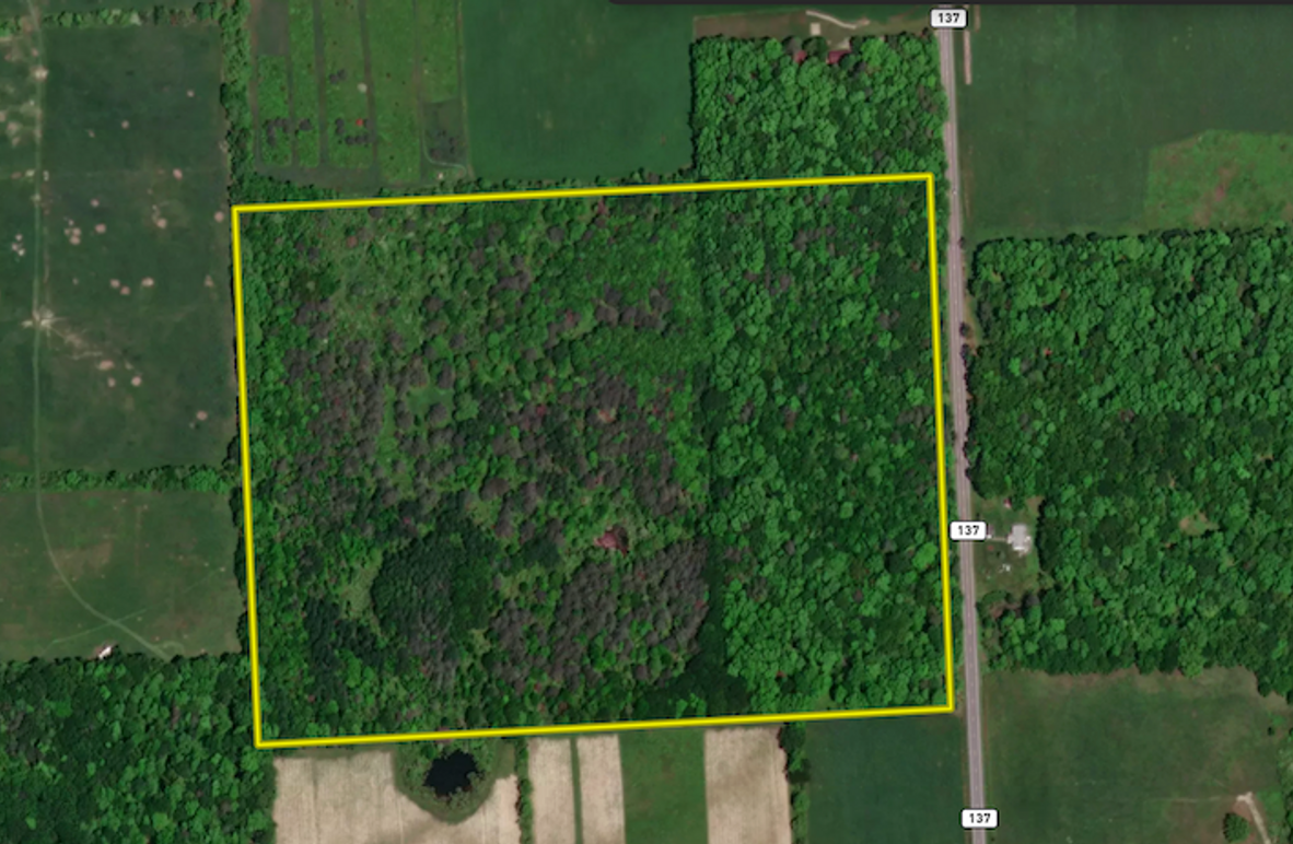 Seneca_43_Hohwald_Landid_1