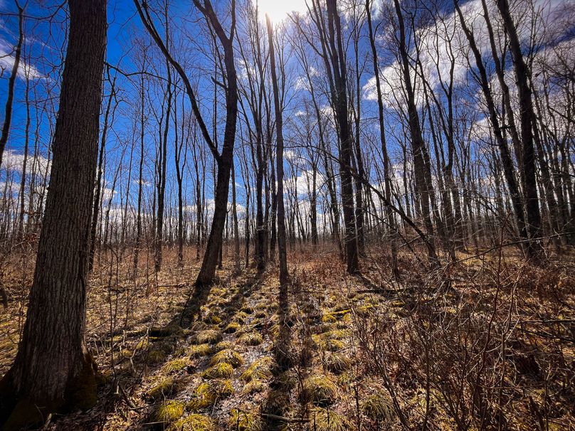 Oswego_165.52_Lashomb_Photos_45