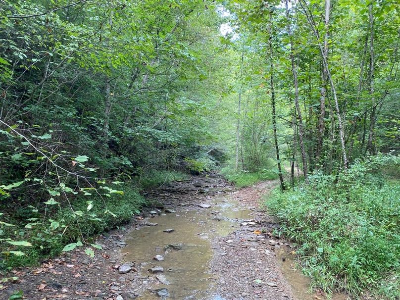 007 road leading up the valley to the northeast traveling up the creek