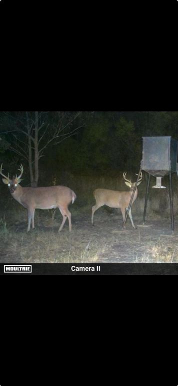 Screenshot 2025-10-28 at 7.17.47 AM