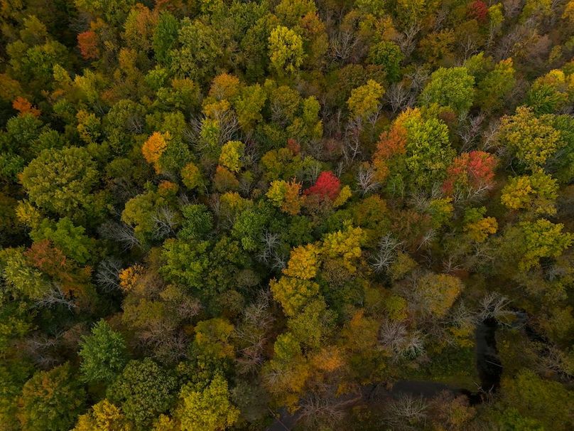 Wayne_29.09_BD_LandParcel_24