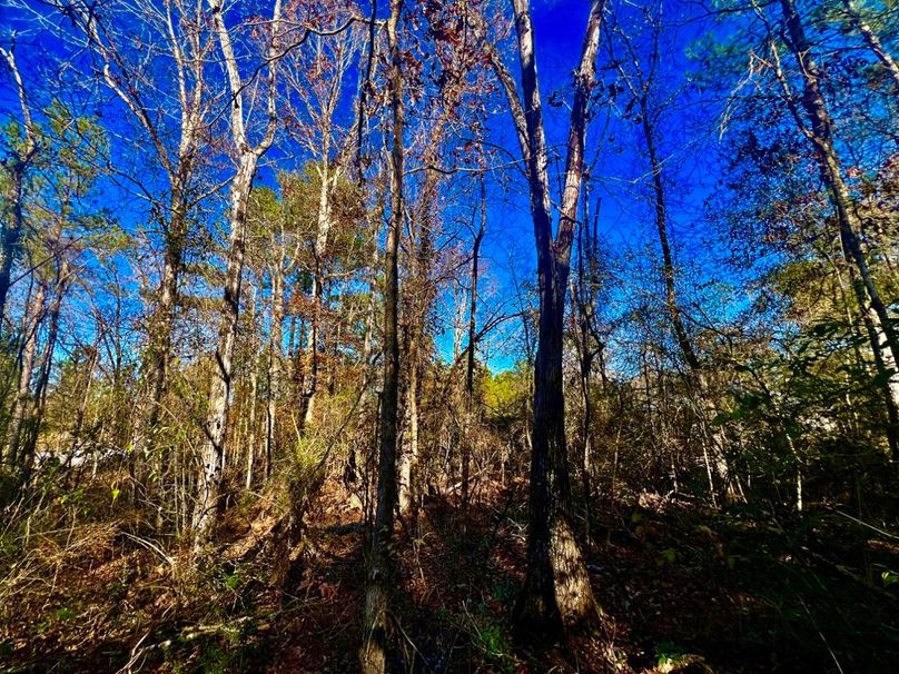 A4B54140-C2A4-49FF-BFE7-9A3A1294E380_1_201_a