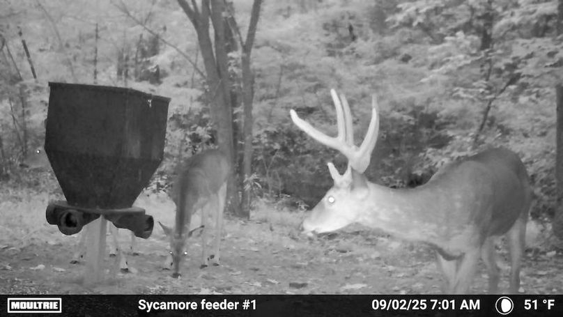 Fleming Petry 115-16