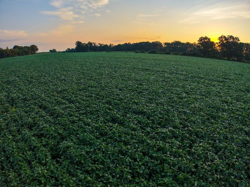 DJI_20250823070055_0902_D