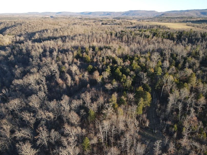 DJI_0304
