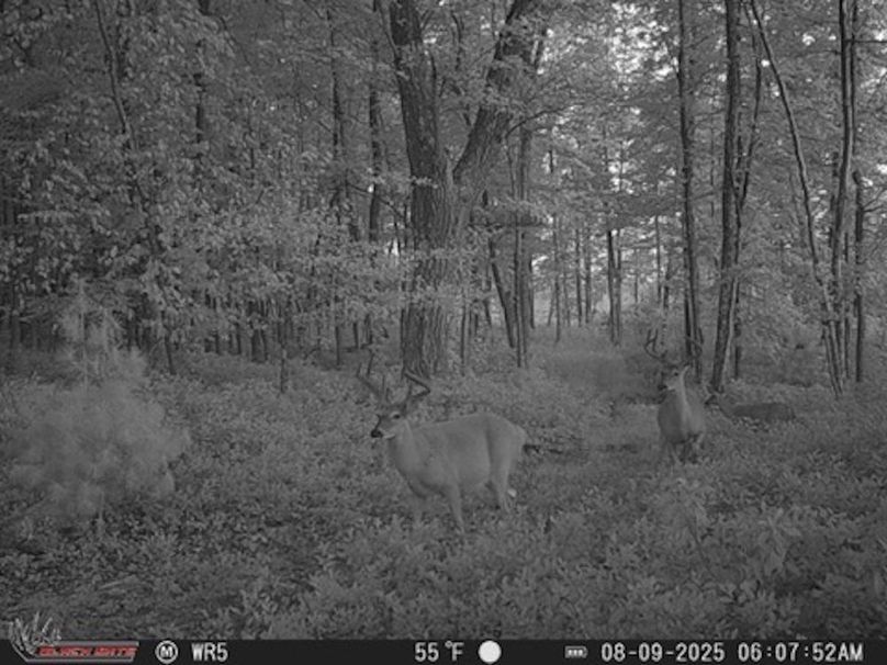 8D976668-365D-4DDE-9108-BA6276B9E9FC_4_5005_c