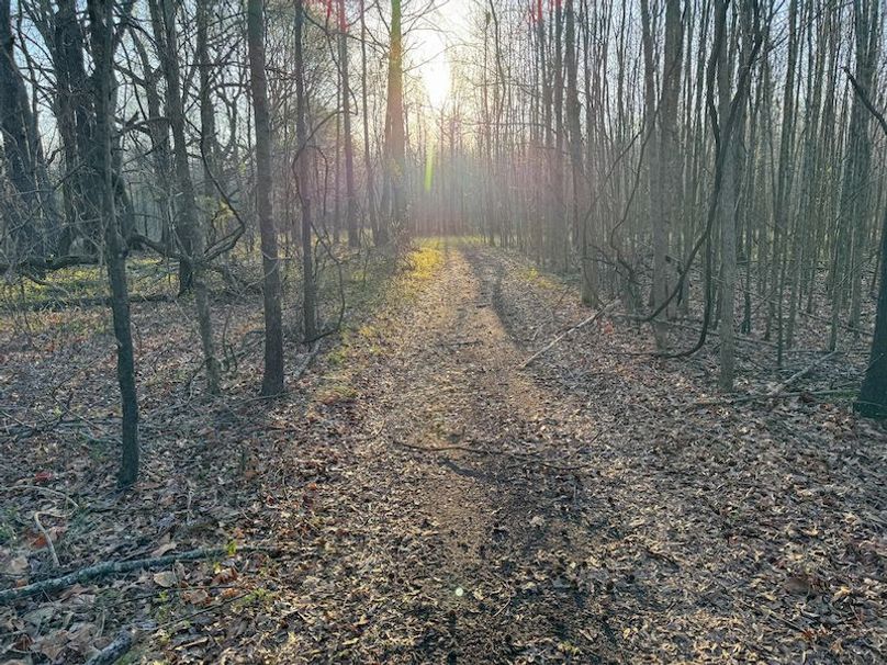 Panola 164.7 SPI Land Ventures-57