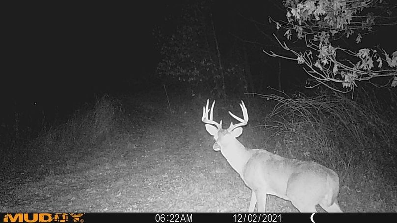 Sauk 174 Trailcam - 46