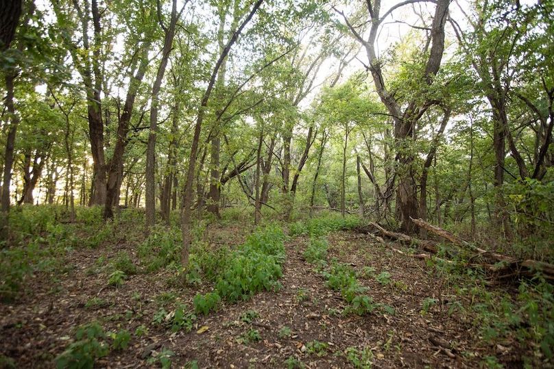 Copy of POTTAWATTAMIE CO IA 311 TRACT 3_26