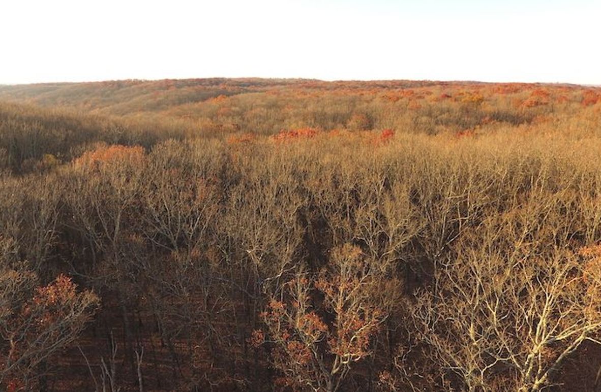 DJI_0016