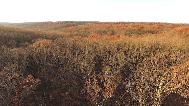 DJI_0016