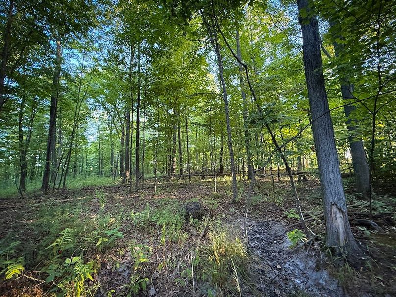 Copy of Wood Tract 4 Photo 11