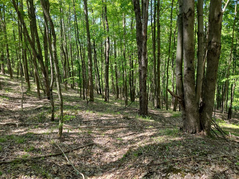 photo_8e52c26d-a7a6-4b40-a614-6527d7e955c4