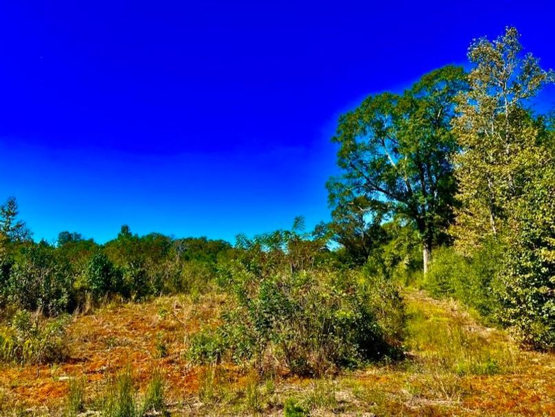 10F056C2-2E3E-41B4-B4EB-B5BD47BB80A6_1_105_c