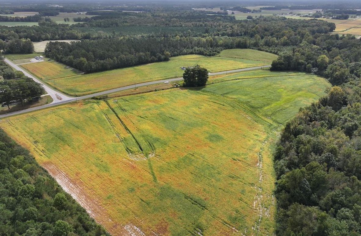 DJI_20250923113413_0106_D