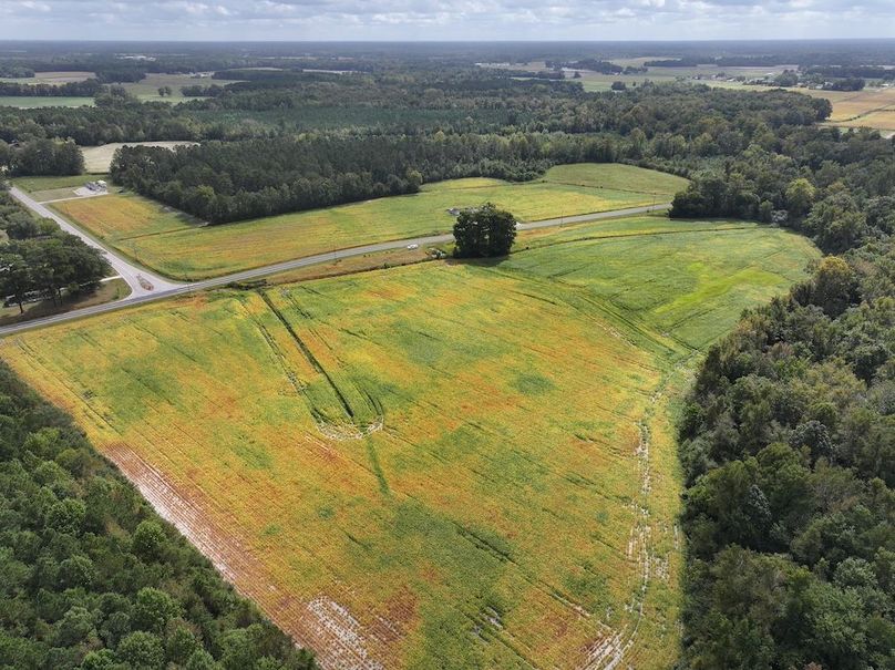 DJI_20250923113413_0106_D