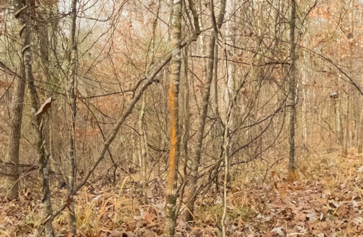 Claiborne Co - 274 - Marian-005