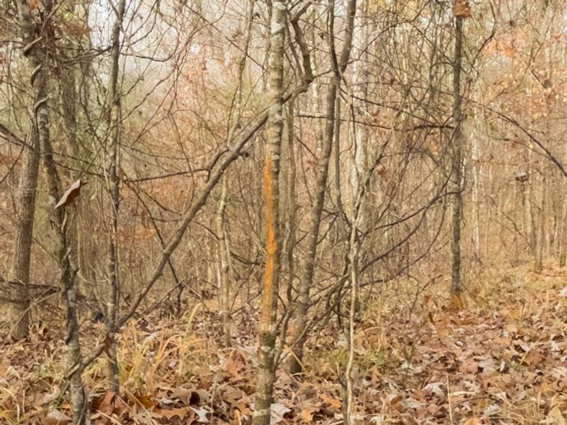 Claiborne Co - 274 - Marian-005