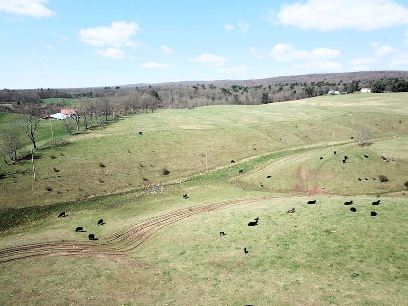 DJI_0019