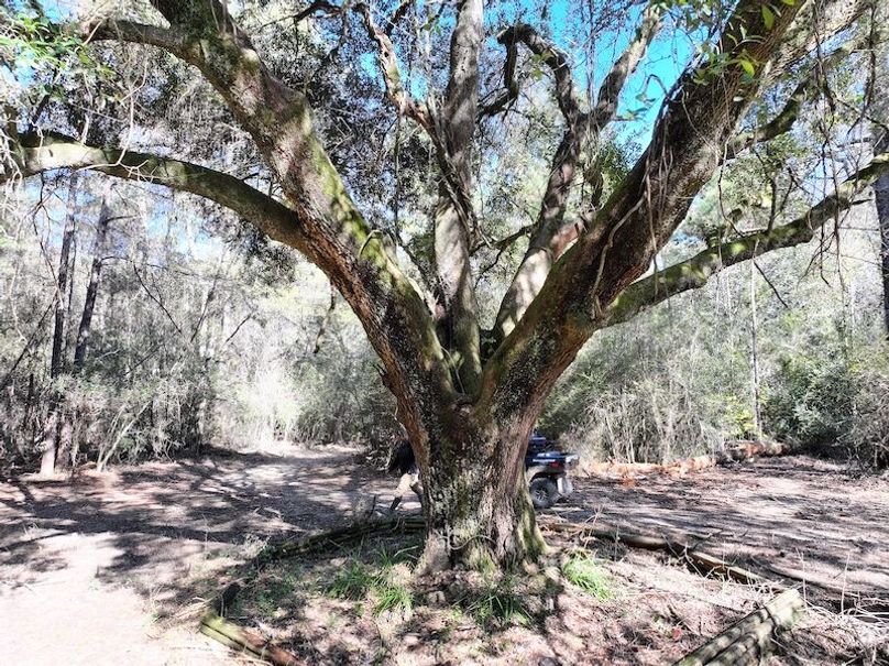 dji_fly_20251209_122044_0765_1765308498353_photo