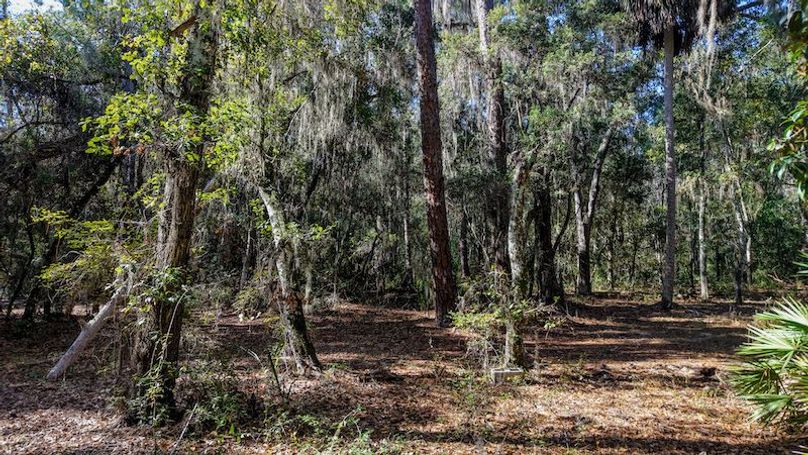 Copy of DJI_20251204000845_0729_D