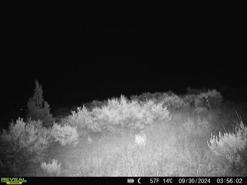 860516060244377-100-2-09302024035602-V-W1001146