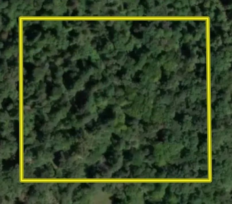 Screenshot 2025-12-06 at 5.06.14 PM