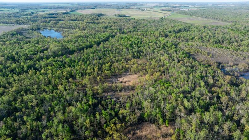 DJI_20260407175318_0016_D