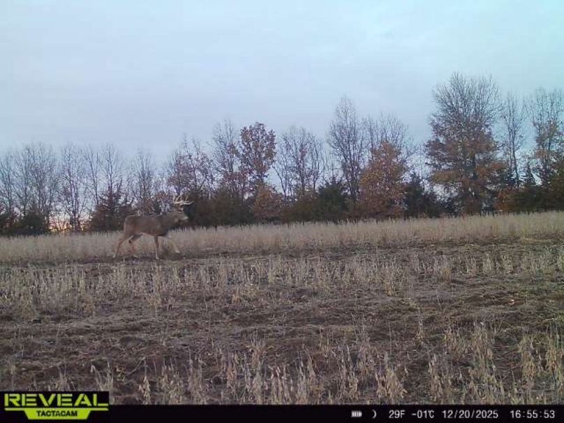 865814042165447-100-1-12202025165552-W1001717