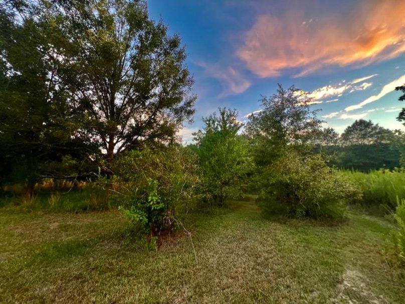 C673602E-3210-4207-8B1D-A90B42EF34F1_1_105_c