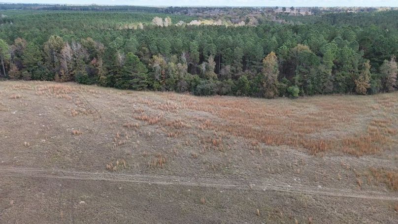 DJI_20251115021504_0877_D - Copy