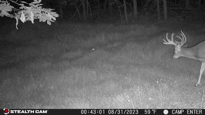 23083100430001000164