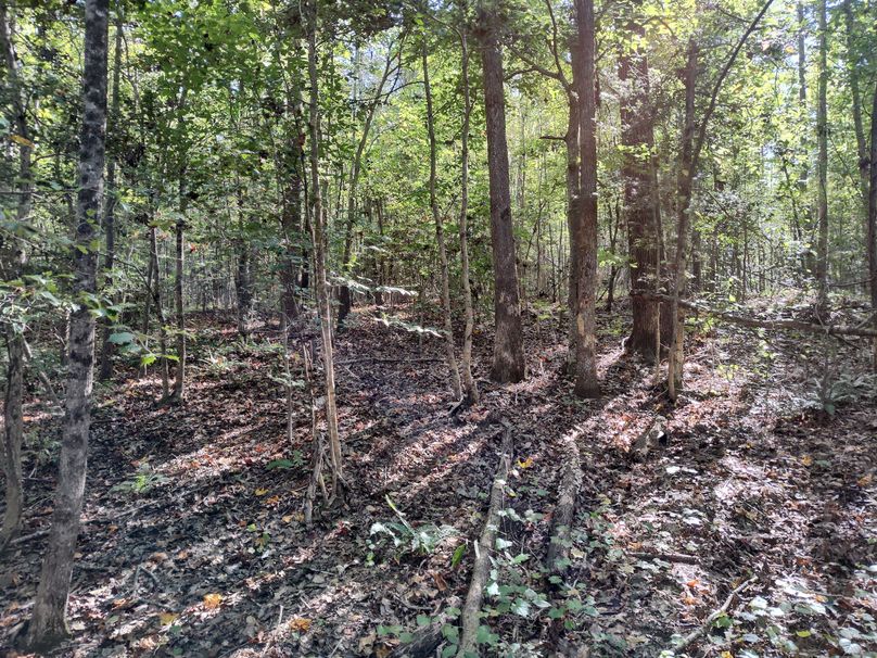 IMG_20231009_150953357_HDR