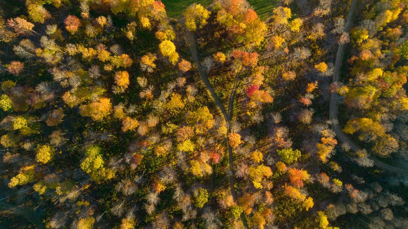 Elk PA 7000 Feature_Pro Photo-155