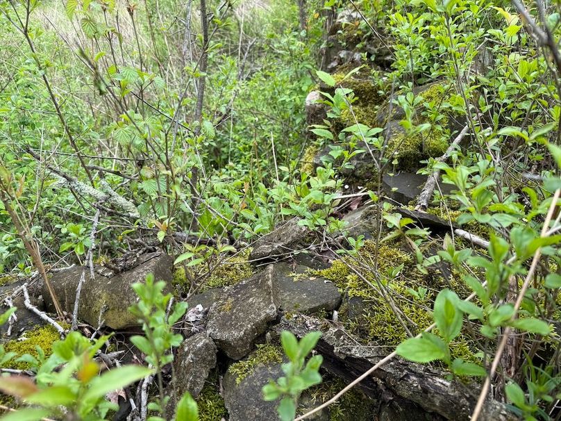 Tompkins_10.01_Llivichuzhca Photo 35