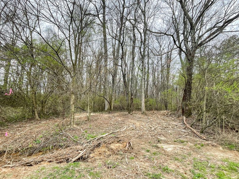 9A63B045-073A-49AA-BBBB-7E8B0AB56E92