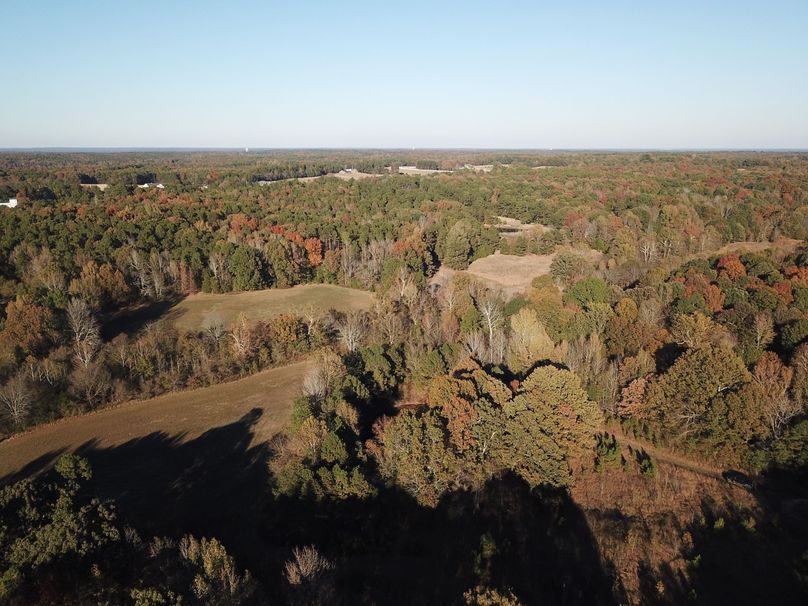 DJI_0065