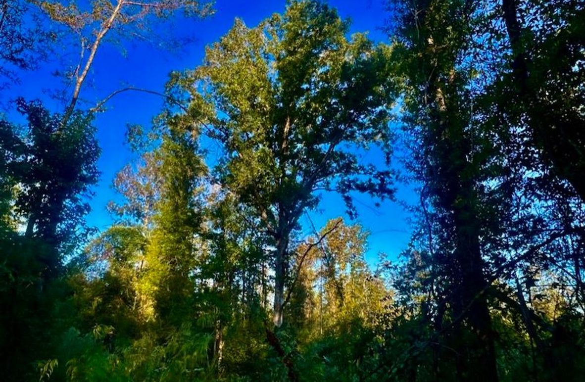 3F75C67D-DE2E-4148-8AF4-D49CBE671BEC_1_105_c