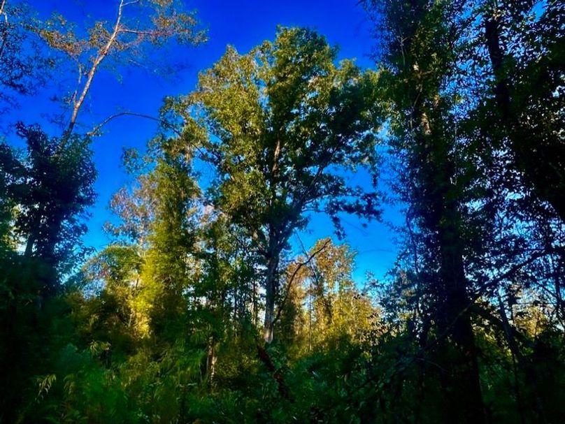 3F75C67D-DE2E-4148-8AF4-D49CBE671BEC_1_105_c