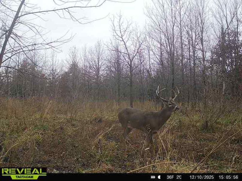 864049051945600-100-1-12102025150556-W1000014