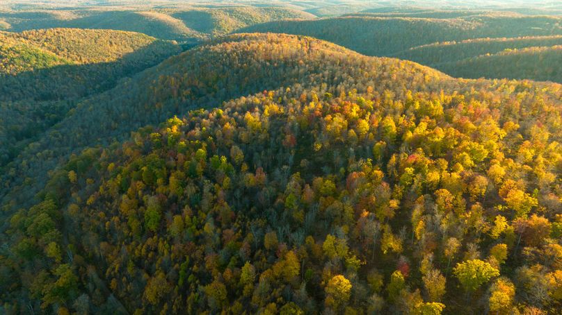 Elk PA 7000 Feature_Pro Photo-161