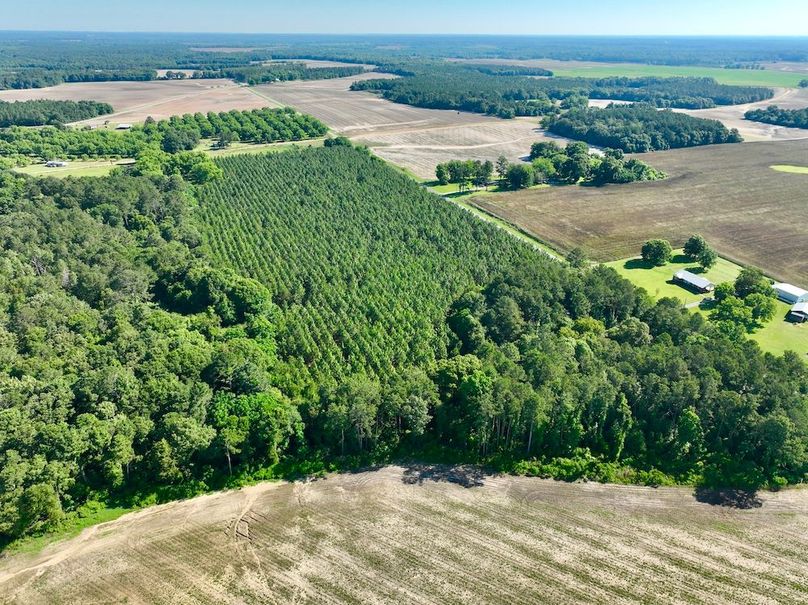 dji_fly_20240521_094618_374_1716299358542_photo