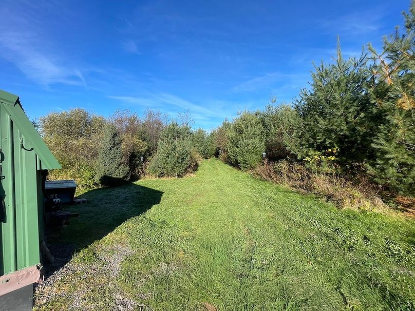 Clark 24.75 Winkel -14