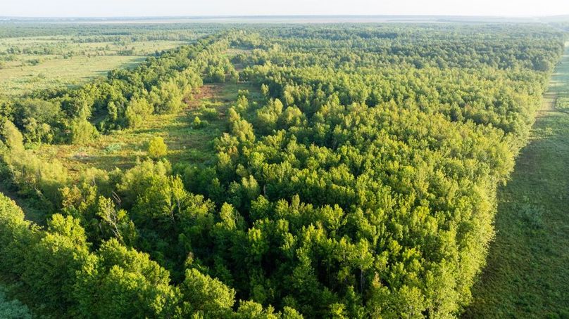 MadisonParLa1372-080