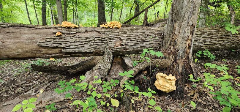 377148322_861748601952738_751697964593740871_n