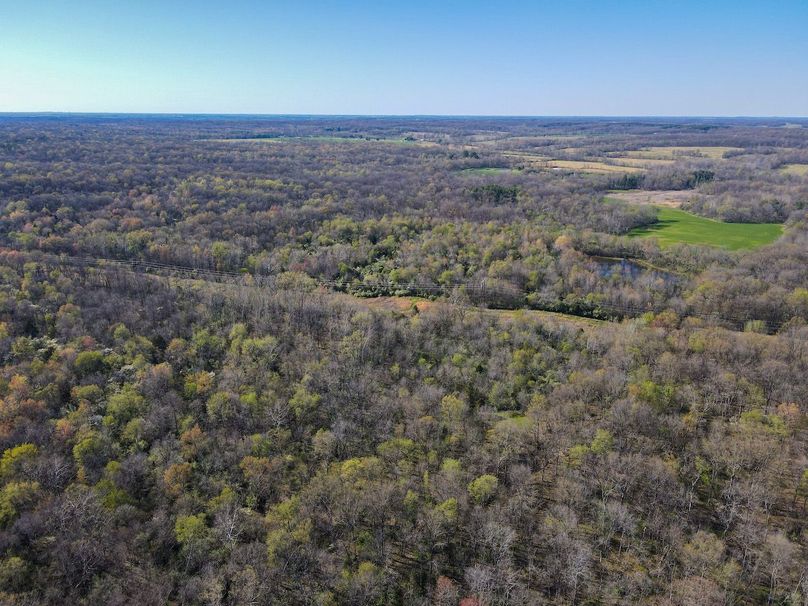 vandalia 450 (2)-2510