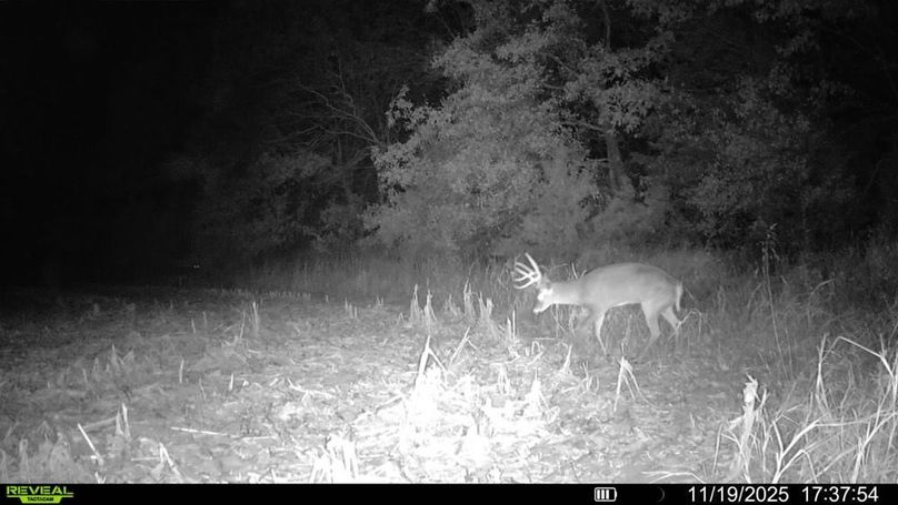 016579000623749-66-4-11192025173754-SYFW00007