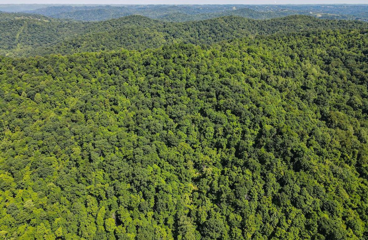 dji_fly_20240604_104234_747_1717512168627_photo